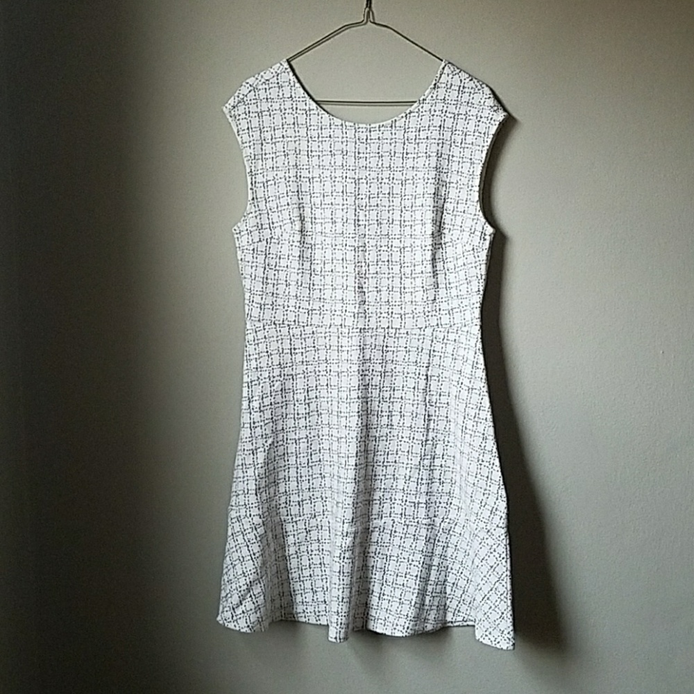 NWT loft dress